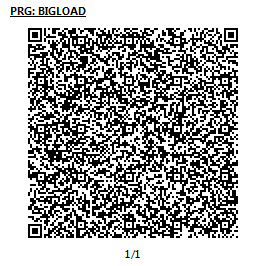 BigLoad_QR.png